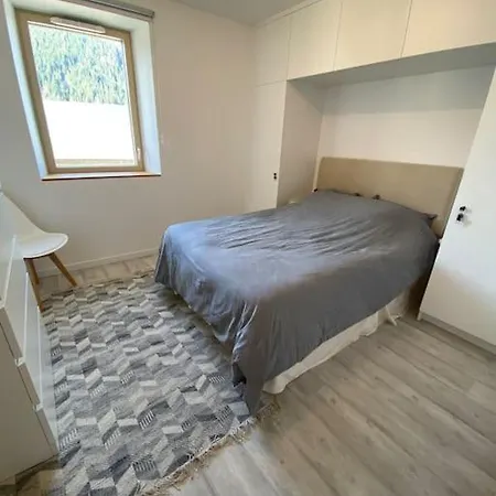 Le Lion D'or 6, Joli T3 En Plein Centre De Apartment *